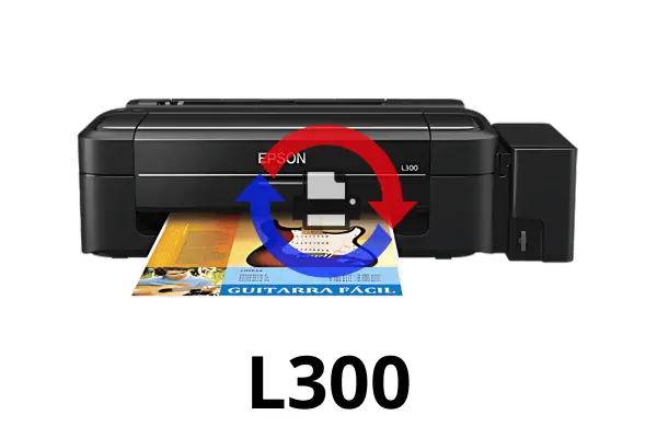 L300