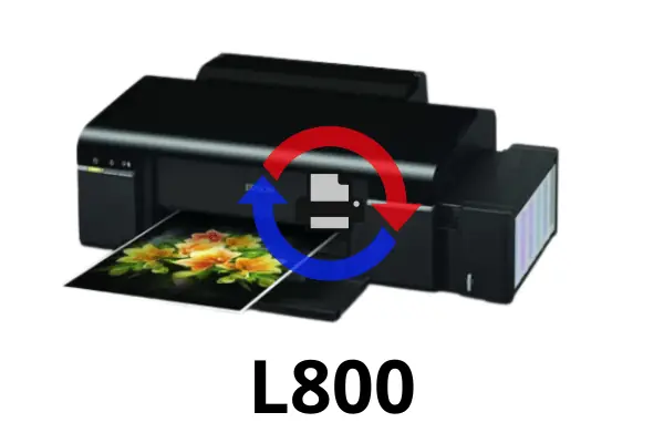 L800