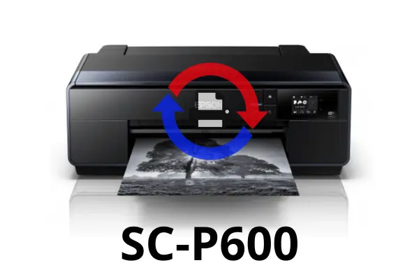 SC P600