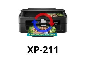 Reset de Almohadillas Epson XP-211 Online | Verificación WhatsApp
