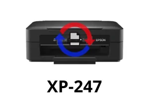 Reset de Almohadillas Epson XP-247 Online | Verificación WhatsApp