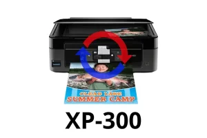 Reset de Almohadillas Epson XP-300 Online | Verificación WhatsApp