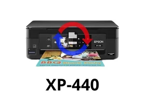 Reset de Almohadillas Epson XP-440 Online | Verificación WhatsApp